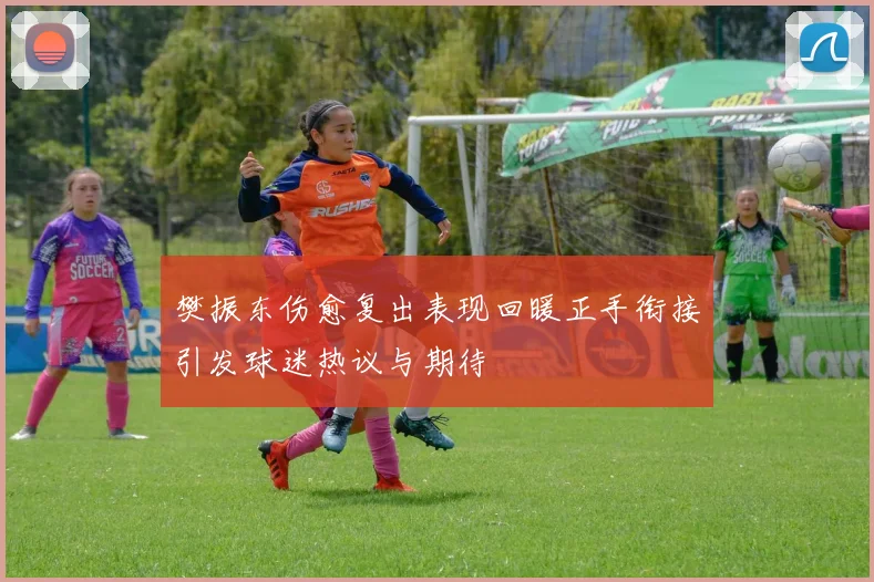 樊振东伤愈复出表现回暖正手衔接引发球迷热议与期待